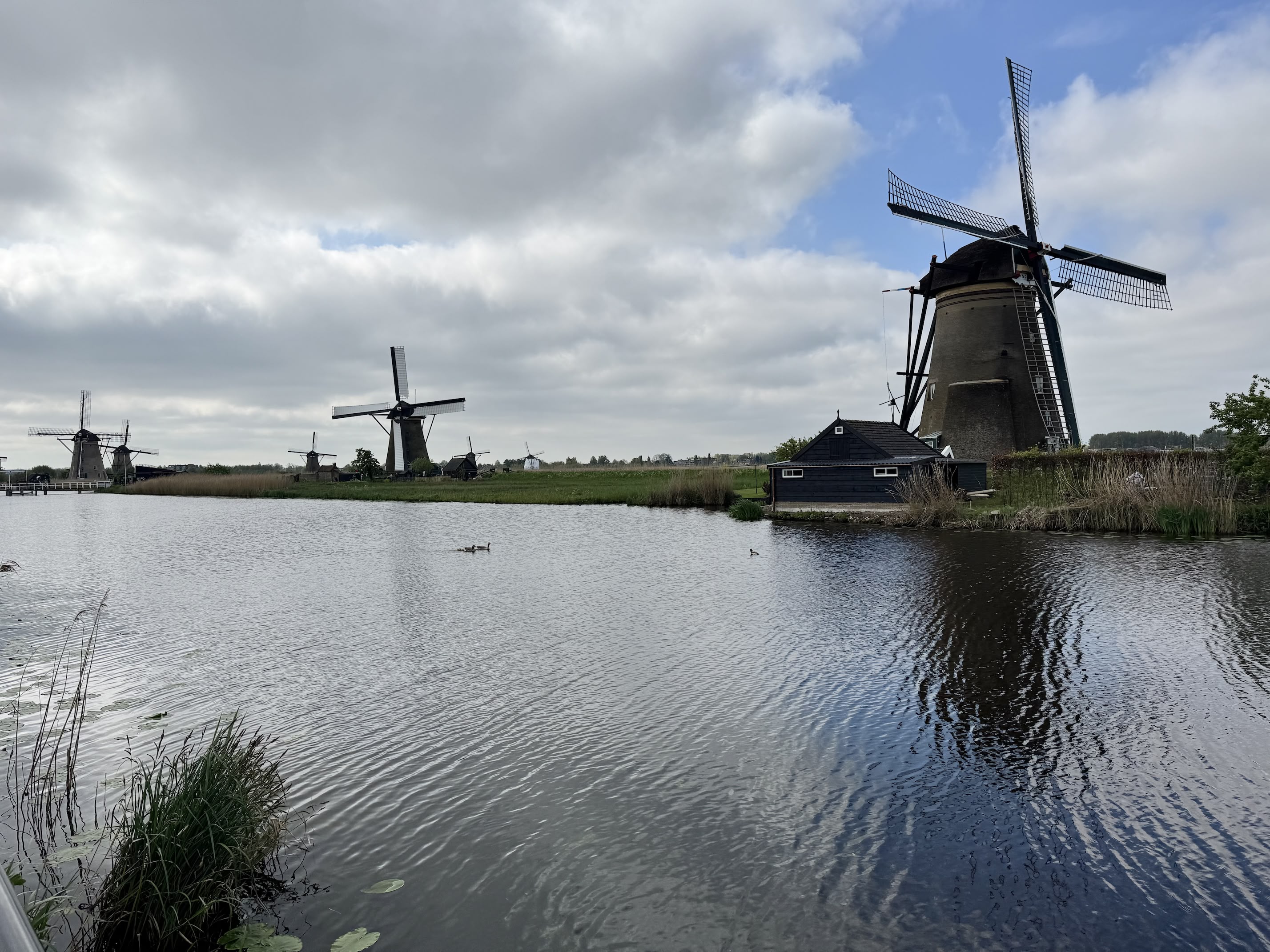 !Kinderdijk